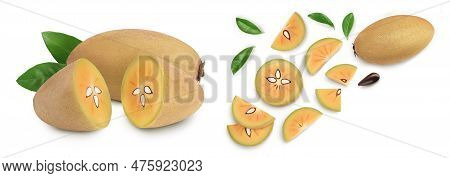 Sapodilla Slices Isolated On White Background With Full Depth Of Field. Top View. Flat Lay