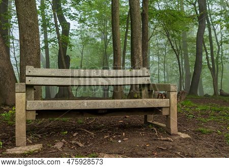 A Wooden Park Bench On A Tree Line In Frick Park On A Foggy Spring Morning In Pittsburgh, Pennsylvan