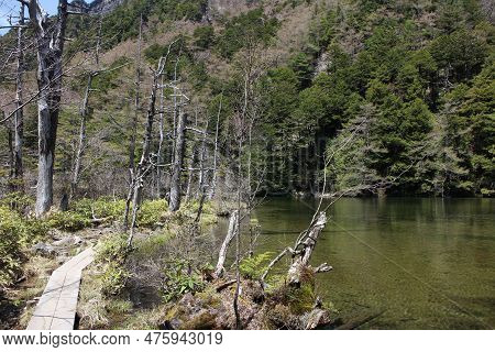 Myojin-ike Pond In Kamikochi, Nagano Prefecture, Japan