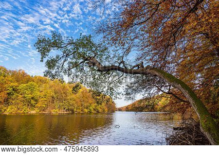 View Over The Lake Schmaler Luzin To A Landscape In Autumn Near Feldberg, Germany.