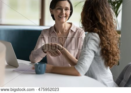 Mature Businesswoman Makes Deal, Handshake Company Client