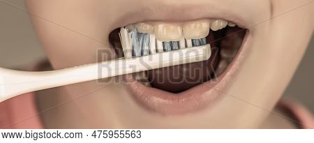 Little Boy Cleaning Teeth. Dental Hygiene. Happy Little Kid Brushing Her Teeth. Kid Boy Brushing Tee