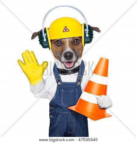 Sous Construction chien