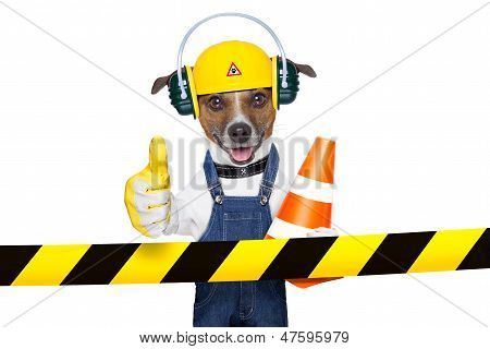 Sous Construction chien