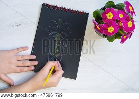 Scratch Painting Paper With Flower On It And Flower Pot.
