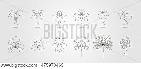 Palm Tree And Leaves Vector Logo Line Art Design, Abstract Bohemian Icon Symbol Illustration Design,