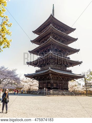 Kyoto Japan - March 28, 2023: To-ji Gojunoto (five Storey Pagoda) And Sakura In Bloom In To-ji  Temp