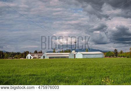 Mass Production Modern Poultry Farming Sheds. Modern Dairy Barn Against A Beautiful Blue Cloudy Sky
