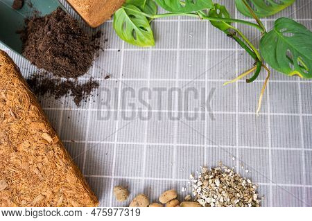 Ingredients For Transplanting Domestic Plants, Soil Composition, Drainage, Coconut Briquette And Coc