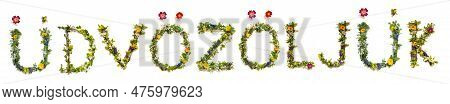 Colorful Flowers Building Word Dv Z Lj K, Isolated Background