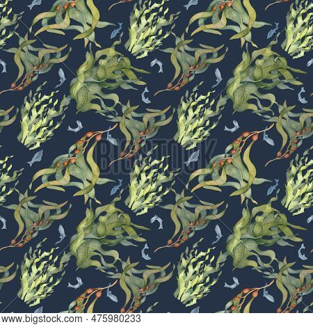Seamless Pattern Of Colorful Sea Plants Watercolor Illustration Isolated On Black. Laminaria, Kelp, 