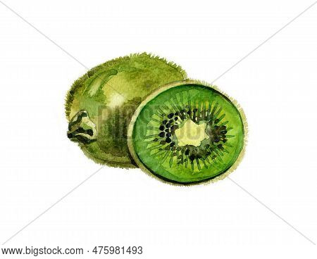 Watercolor Summer Kiwi Clipart Isolated On White Background.
