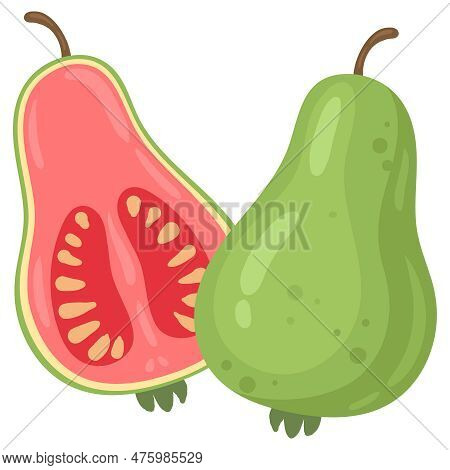 Exotic Guava Green Fruit. Cartoon Summer Tropical Psidium Fruits, Whole Fruit And Half Flat Vector I
