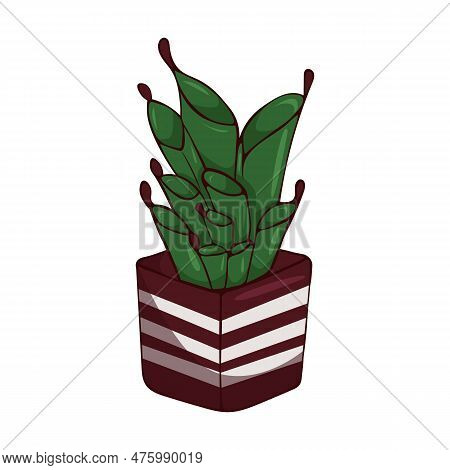 Hand Drawn Cute Summer Illustration Of Growing Heliamphora In Pot.flat Vector Home Plant Isolated On