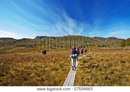 Hikers On Overland Trail In Tasmania, Australia