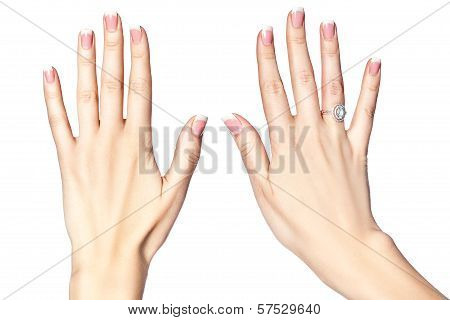 Beautiful Female Hands On A White Background.