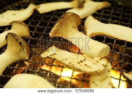 Eringii Mushroom On A Grill