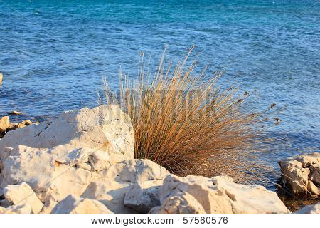 Punat, Croatia