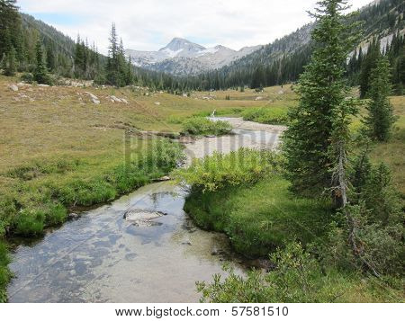 Mountain and Stream
