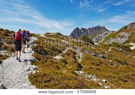 Hikers On Overland Trail, Cradle Mountain, Tasmania