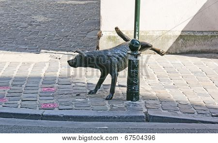 The Dog