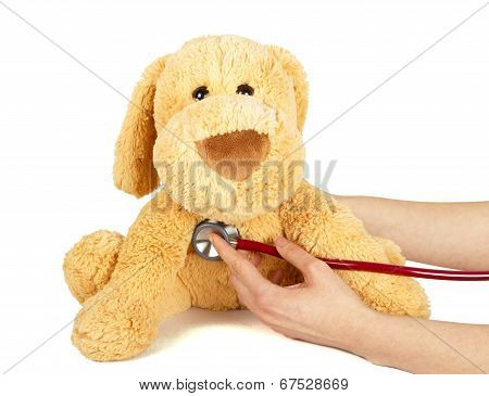 Sick Teddy