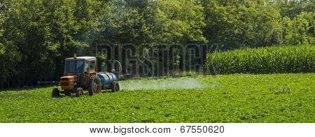 agricultural labor