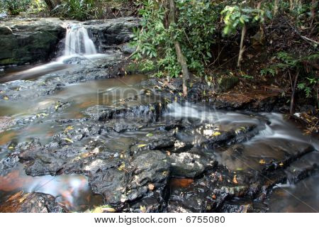 Stream i mountain regnskov - Gold coast hinterland, Queensland, Australien