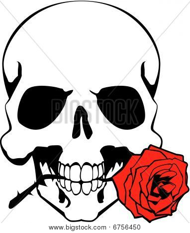 Skalle & Rose