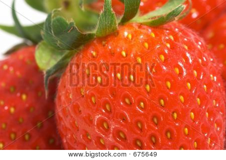 Berry