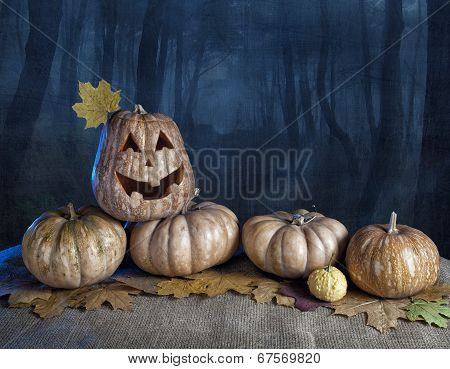 Halloween Pumpkins In The Forest