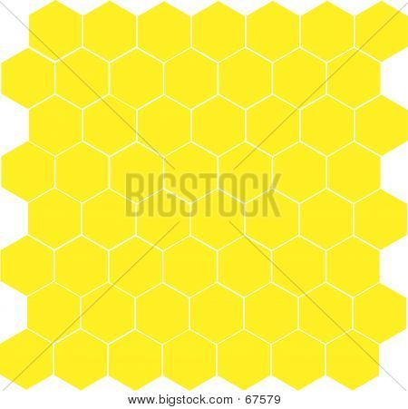 O strukturze plastra miodu