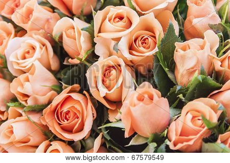 Bright bouquet of roses of various grades