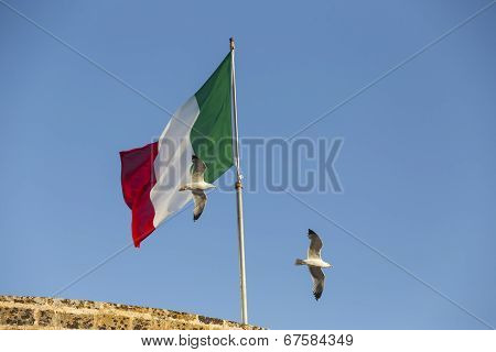 Seagulls Flying Near Italian Flag