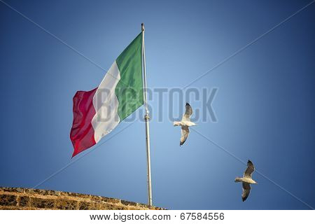 Seagulls Flying Near Italian Flag