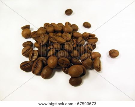 Coffee Grains