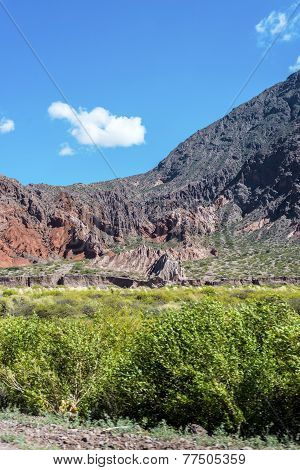 Quebrada De Las Conchas, Salta, Northern Argentina