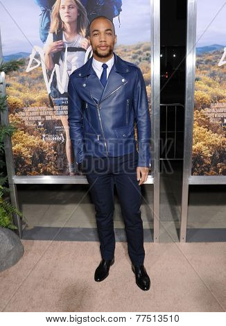 LOS ANGELES - NOV 19:  Kendrick Sampson arrives to the 