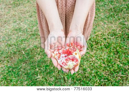Woman Holding Fruit Close Up ( shallow depth of field)