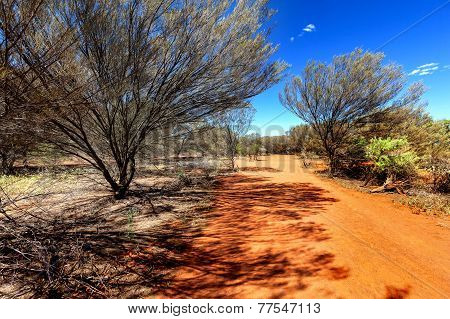 Small Country Road In Hot Australian Outback