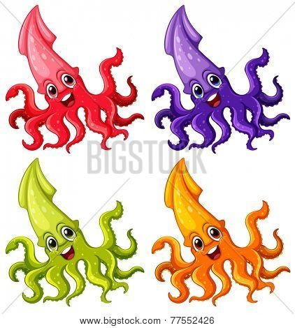 A group of colorful squids on a white background 
