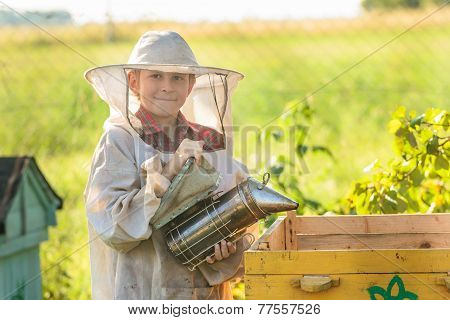 Young Beekeeper Working In Apiary