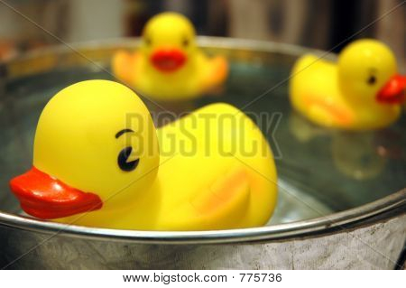 Rubberducks1