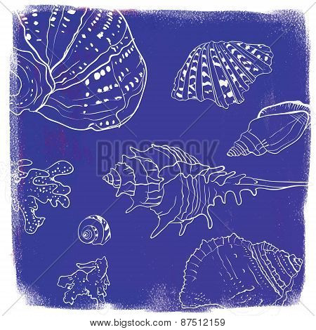 vector background with hand drawn seashells