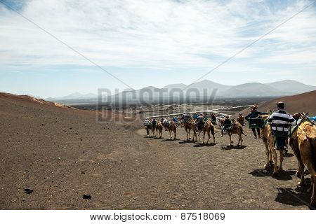 TIMANFAYA - MARCH 31: Tourists taking a camel ride on March 31, 2015 in Timanfaya National Park, Lanzarote island, Spain. The parkland is entirely made up of volcanic soil.