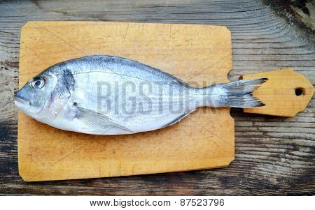 Uncooked fish dorado on wooden board