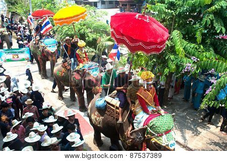 Si Satchanalai Elephant Back Ordination Procession.