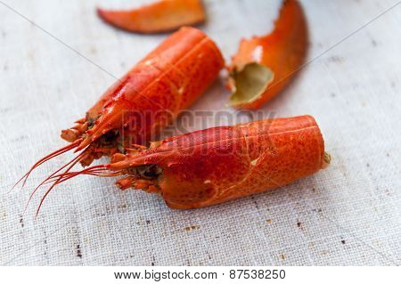 Lobster