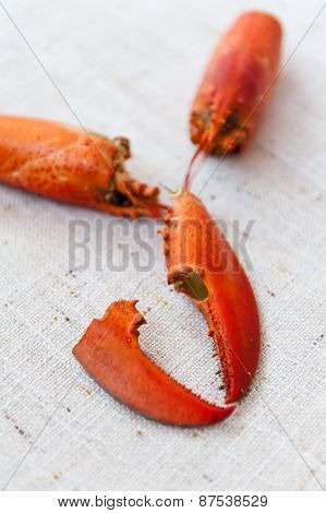 Lobster