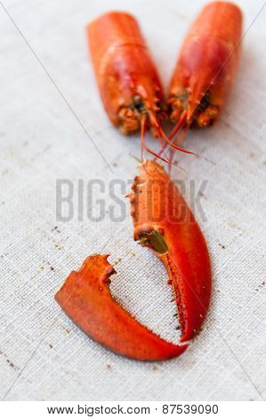 Lobster